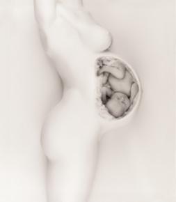 Le d�but de mon histoire